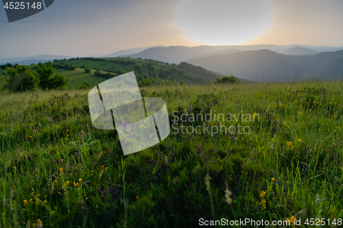 Image of landscape nature summer