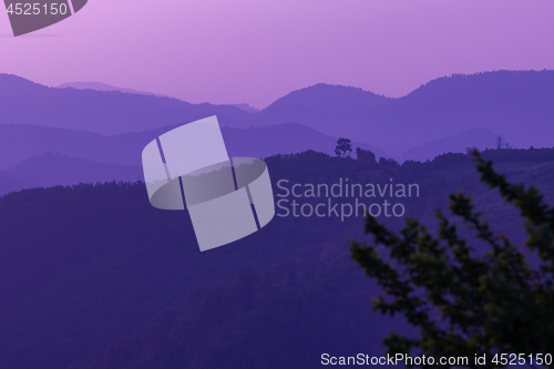 Image of ultra violet purple summer landscape