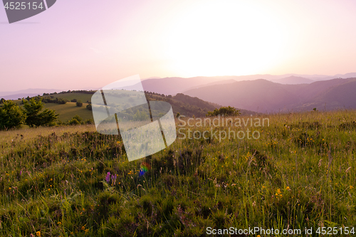 Image of landscape nature summer