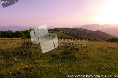 Image of landscape nature summer