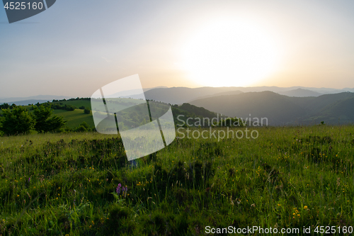 Image of landscape nature summer