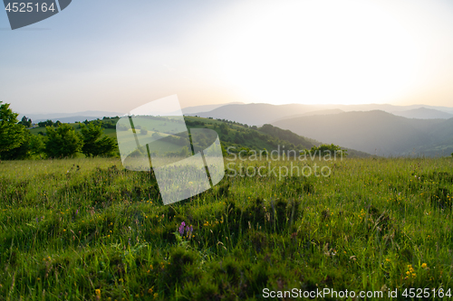 Image of landscape nature summer