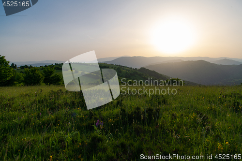 Image of landscape nature summer