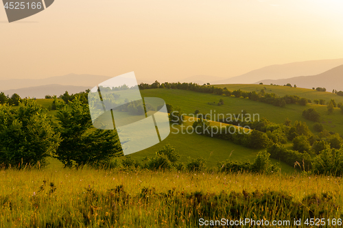 Image of landscape nature summer