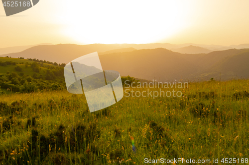 Image of landscape nature summer