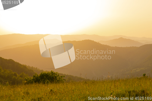 Image of landscape nature summer