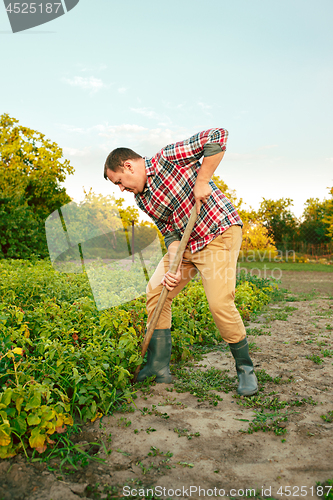 Image of farming, gardening, agriculture and people concept -