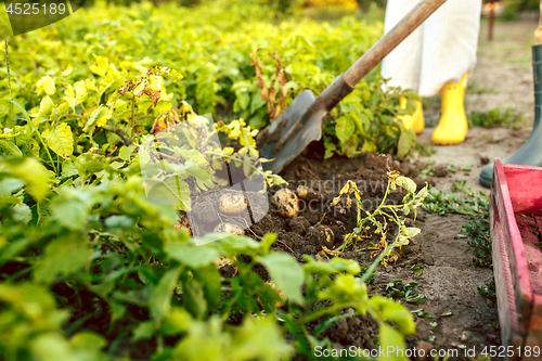 Image of farming, gardening, agriculture and people concept