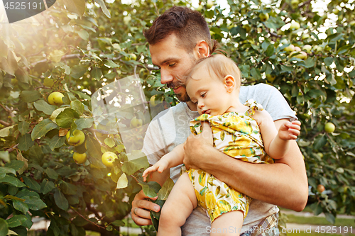 Image of The happy young family during picking apples in a garden outdoors