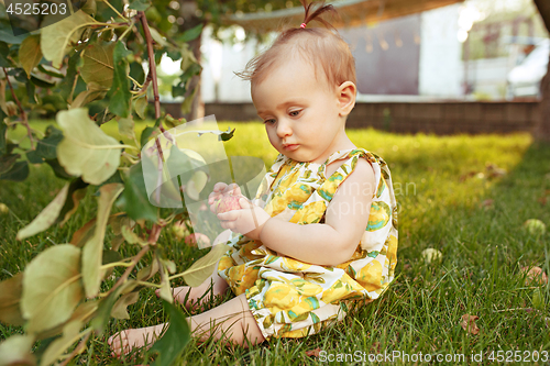 Image of The happy young baby girl during picking apples in a garden outdoors