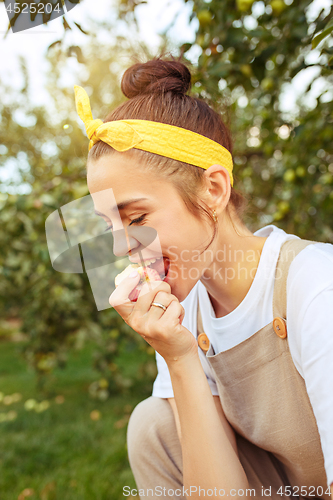 Image of The woman during picking apple in a garden outdoors