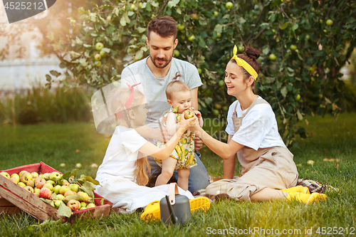 Image of The happy young family during picking apples in a garden outdoors