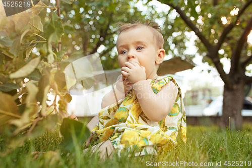 Image of The happy young baby girl during picking apples in a garden outdoors