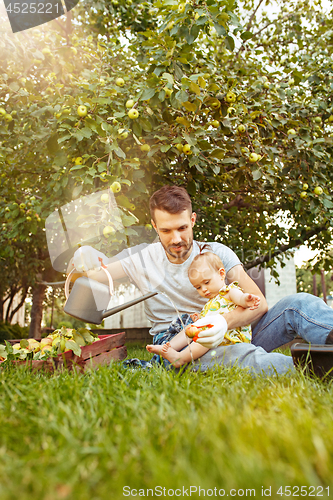 Image of The happy young family during picking apples in a garden outdoors