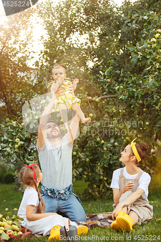 Image of The happy young family during picking apples in a garden outdoors