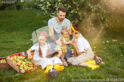 Image of The happy young family during picking apples in a garden outdoors