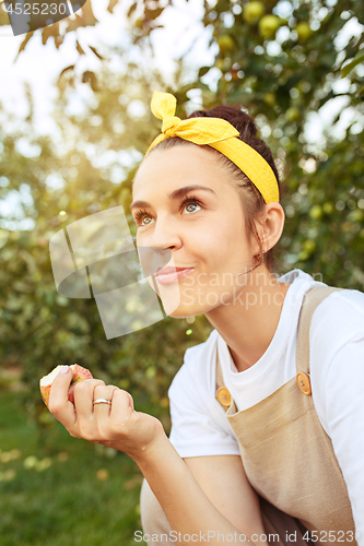 Image of The woman during picking apple in a garden outdoors