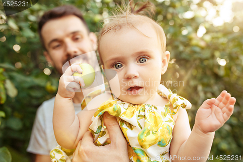 Image of The happy young family during picking apples in a garden outdoors