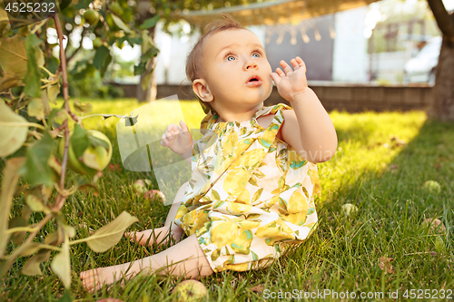 Image of The happy young baby girl during picking apples in a garden outdoors