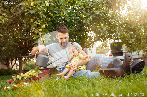 Image of The happy young family during picking apples in a garden outdoors