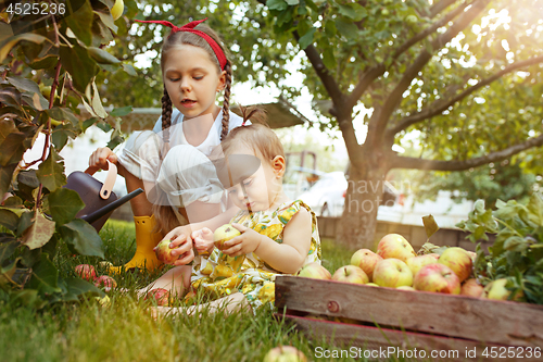 Image of The happy young girland baby during picking apples in a garden outdoors