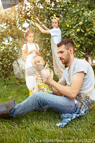 Image of The happy young family during picking apples in a garden outdoors