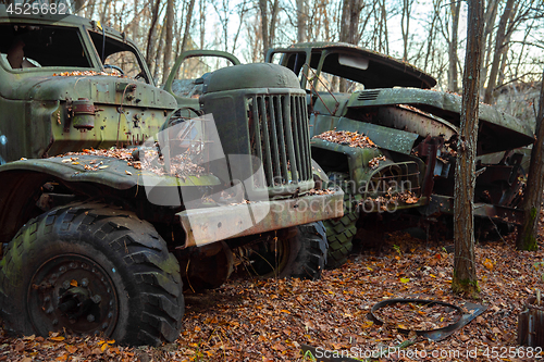 Image of Fallen tree on abandoned truck left outside