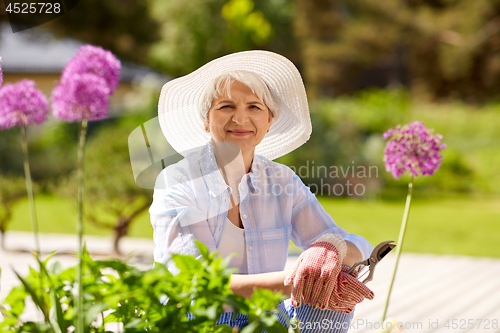 Image of senior woman with garden pruner and flowers