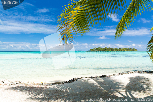 Image of tropical beach with palm tree in french polynesia