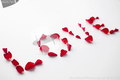 Image of word love made of red rose petals