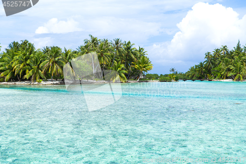 Image of bridge on tropical beach in french polynesia