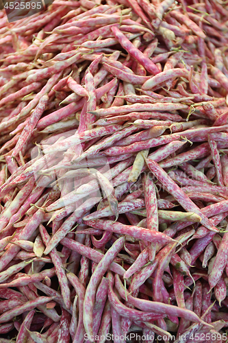 Image of Italian Beans
