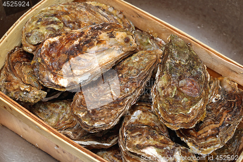 Image of Oysters in Box