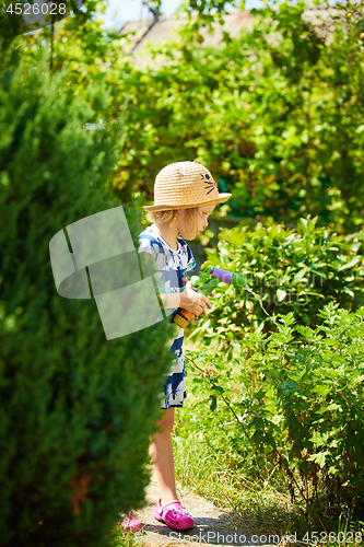 Image of Little happy girl watering garden