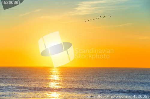 Image of Ocean sunset, Portugal