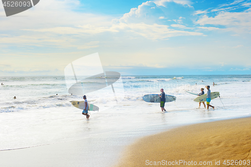 Image of Group of surfers, Bali island