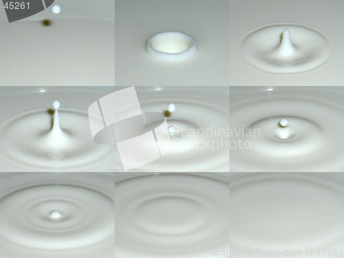 Image of Milk Drops