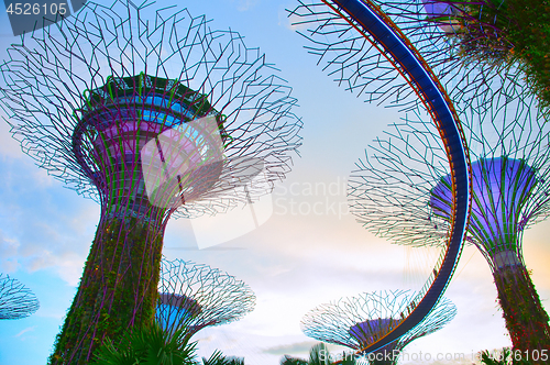 Image of Gardens by the Bay, Singapore