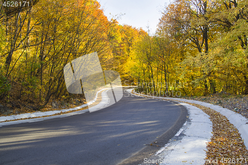 Image of Autumn curvy road