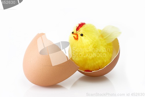 Image of Just hutched