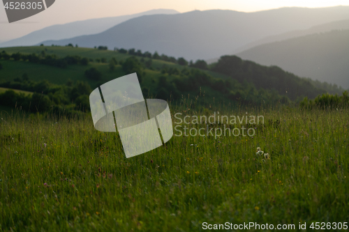 Image of landscape nature summer