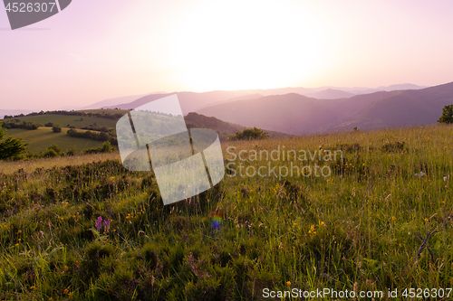 Image of landscape nature summer