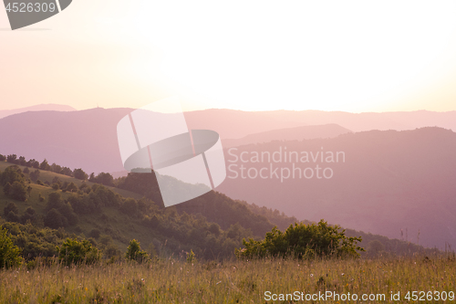 Image of landscape nature summer