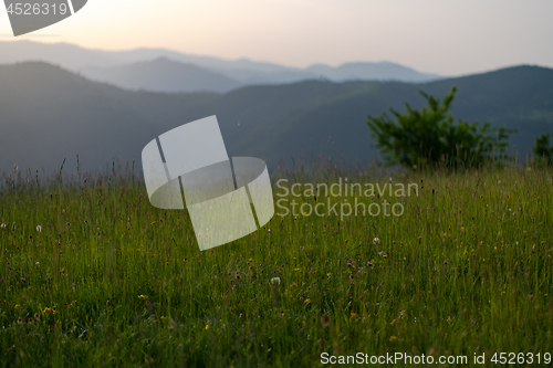 Image of landscape nature summer