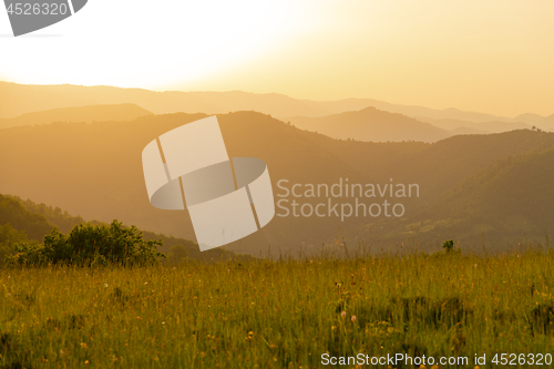 Image of landscape nature summer