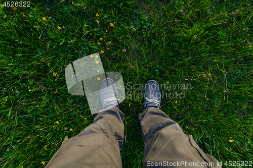 Image of top view of legs in grass