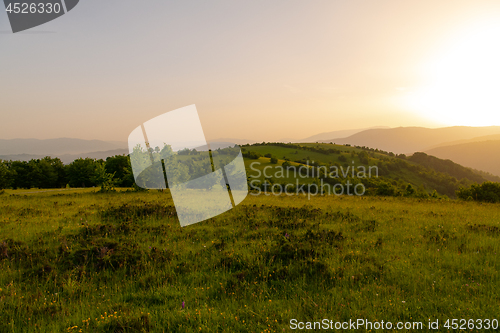 Image of landscape nature summer