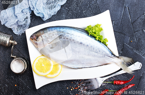 Image of raw dorada