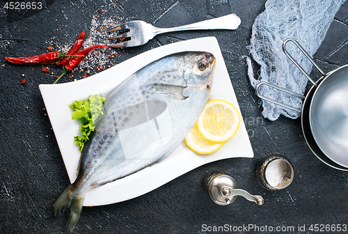 Image of raw dorada