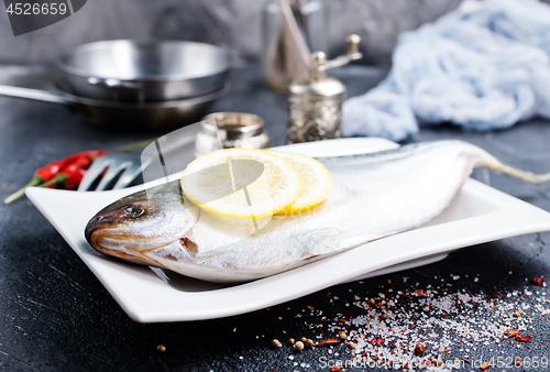 Image of raw dorada